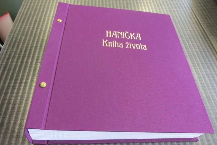 Kronika pro dítě - Kniha života