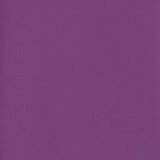 42 Střední fialová