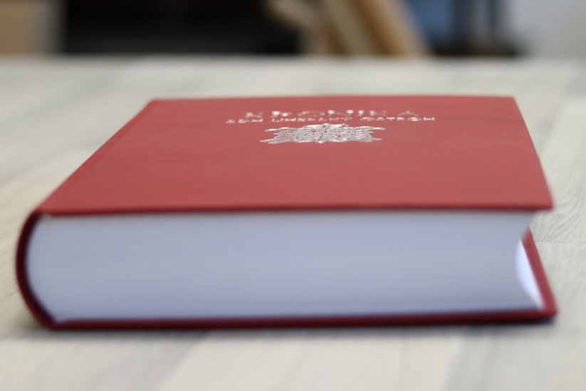 Kronika pro ruční zapisování, A4, 192 listů, pravá kůže - Barva kůže: Černá (80)